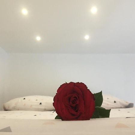 Lovely Studio Bourges Luaran gambar