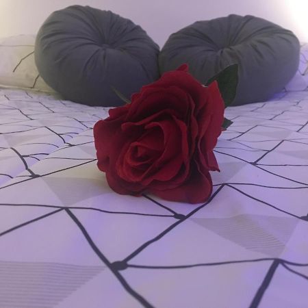 Lovely Studio Bourges Luaran gambar